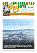 Ausgabe 2