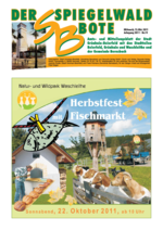Ausgabe 19